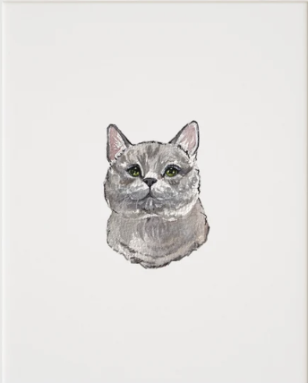 Pet Lover's Bundle - Image 2